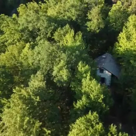 Forest House Trebevic Holiday home