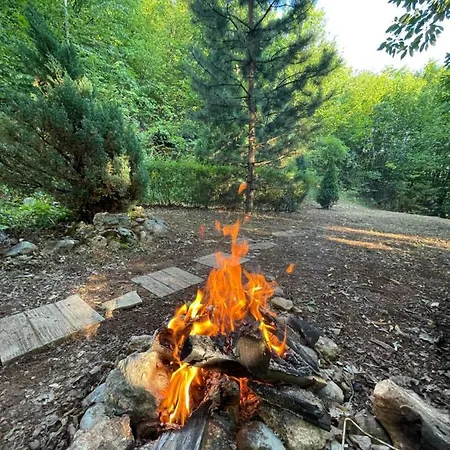 Holiday home Forest House Trebevic