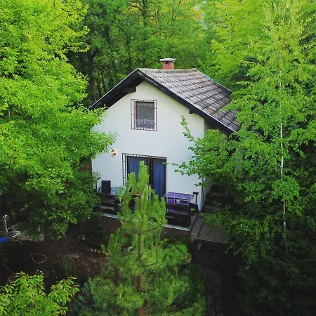 Holiday home Forest House Trebevic
